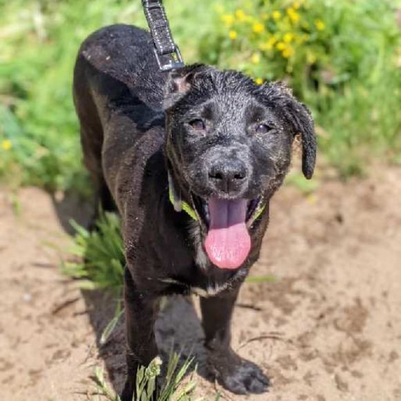 Jimmy - Picture 8 of 8